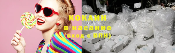 метадон Богданович