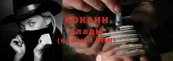 метадон Богданович