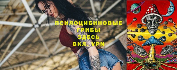 метадон Богданович