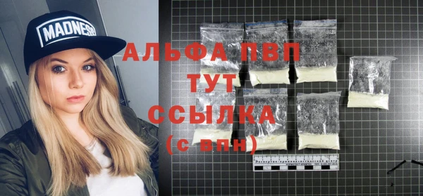 метадон Богданович