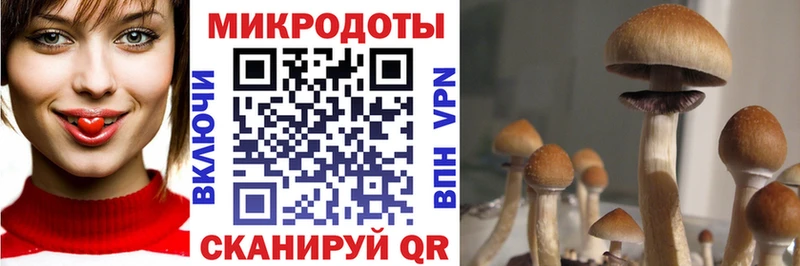 omg tor  Котлас  Галлюциногенные грибы ЛСД  наркошоп 
